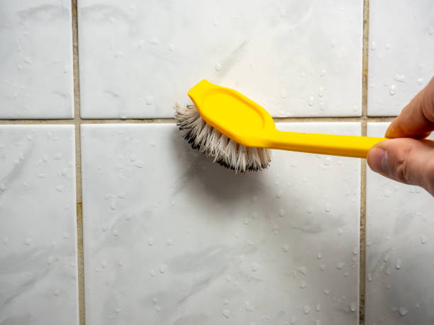 Best Insurance-Related Mold Remediation in West Dundee, IL