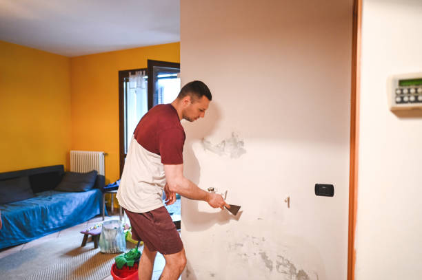 Best Post-Flood Mold Remediation in West Dundee, IL